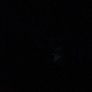 Meet your Posher, Tyrese